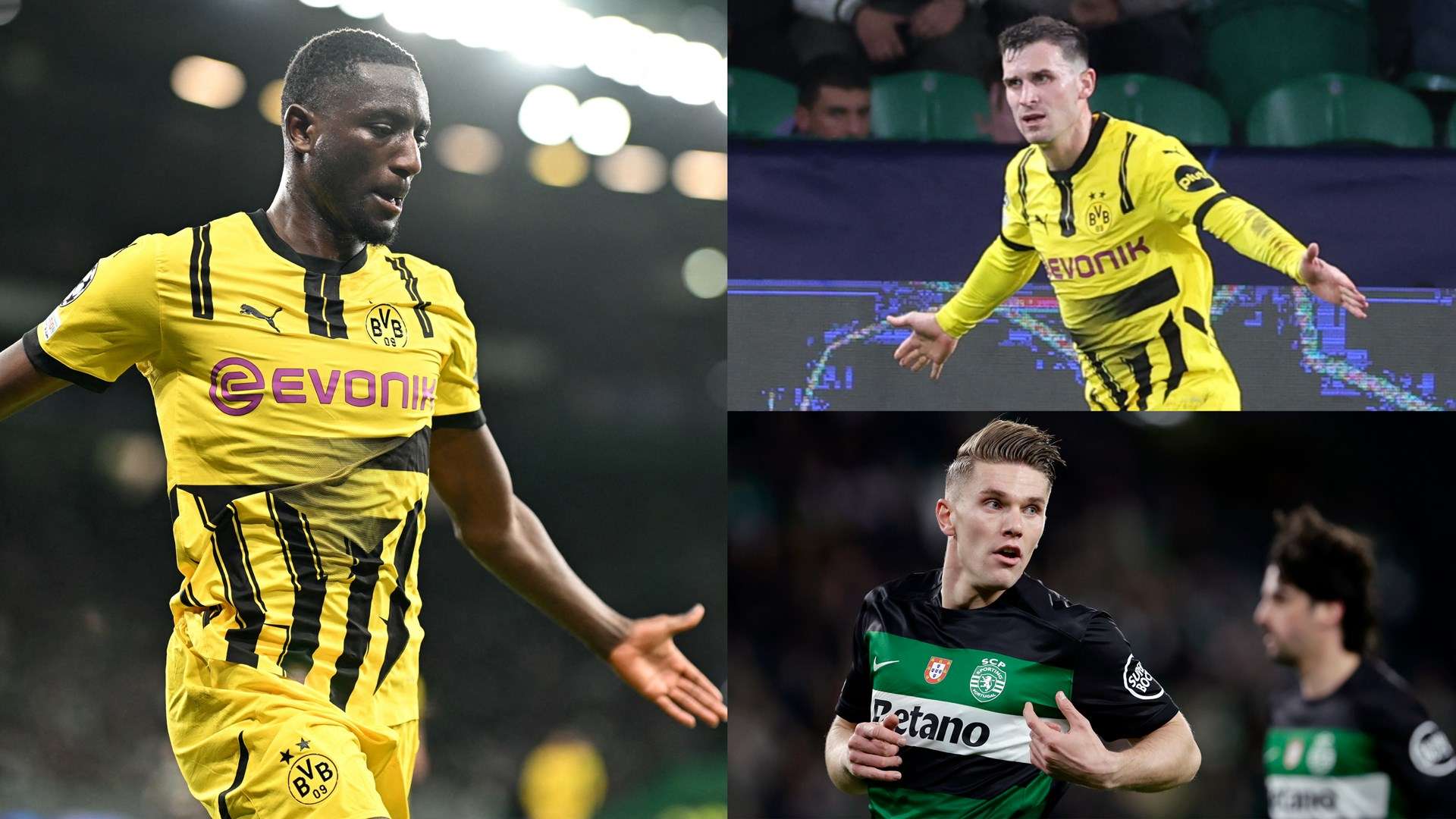 挖掘而闻名 挖掘而闻名