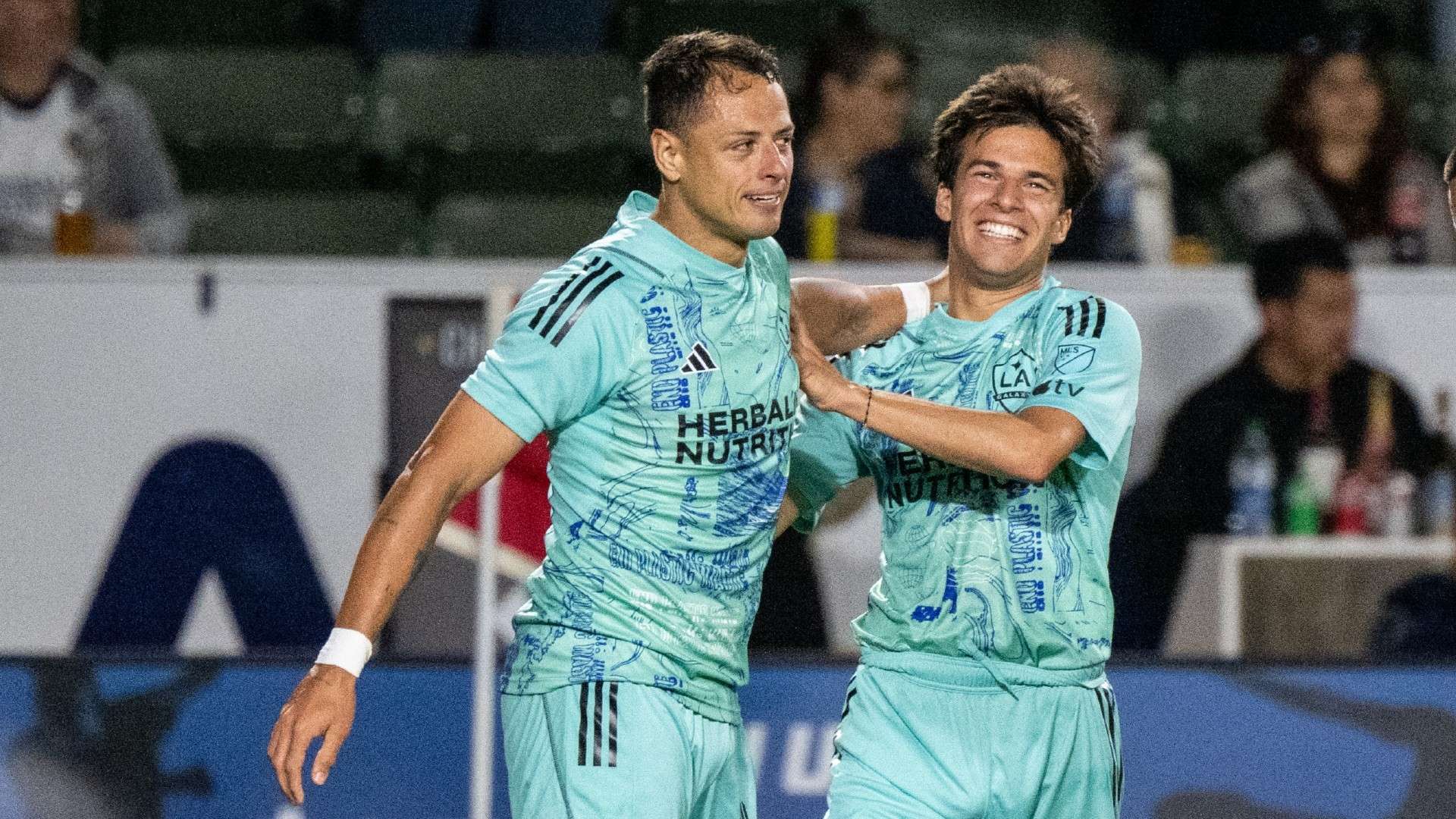 从容地应对 从容地应对